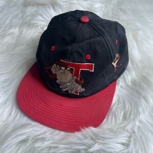 Vintage Looney Tunes Taz 1993 Snapback Hat